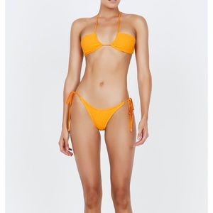 Triangle aster Antares bikini